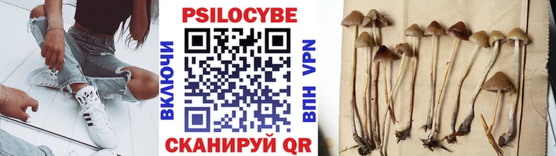 Галлюциногенные грибы мицелий  купить закладку  площадка официальный сайт  Игра 